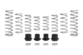 Picture of Eibach Pro-UTV 2020 Polaris RZR Pro XP 2 Seat Stage 2 Performance Springs