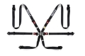 Picture of Sparco Belt PD 6 Point 2in Black Harness