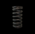 Picture of Brian Crower Toyota 2ZZFE Single Valve Spring