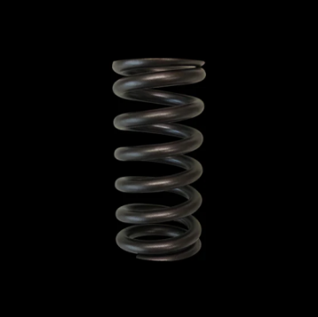 Picture of Brian Crower Toyota 2ZZFE Single Valve Spring