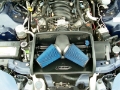 Picture of Volant 98-02 Pontiac Firebird 5-7 V8 Pro5 Open Element Air Intake System