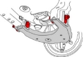 Picture of SPC Performance TOYOTA CAM BOLT KIT2