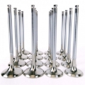 Picture of Skunk2 Alpha Series Honda-Acura Stock Size H Series Valve Set Standard Compression