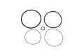 Picture of Turbosmart BOV Race Port-Bubba O-Ring Kit