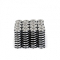 Picture of Skunk2 Alpha Series Honda-Acura D Series Valve Spring and Titanium Retainer Kit