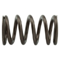 Picture of Industrial Injection 110 LBS Single Valve Spring Set