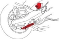 Picture of SPC Performance Mazda3 Rear Camber-Toe Kit