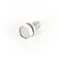 Picture of Omix Transmission Mounting Bolt- 84-02 YJ-TJ-XJ-SJ-MJ-Z