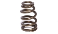 Picture of COMP Cams Valve Spring 1-585in Beehive