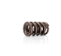Picture of COMP Cams Valve Spring 1-550in Dirt-Late