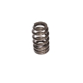 Picture of COMP Cams Valve Spring 1-415in Beehive