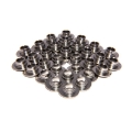 Picture of COMP Cams Titanium Retainers 4-6L 4V Fo