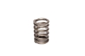 Picture of COMP Cams Valve Spring Ford 2800Cc