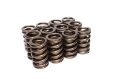 Picture of COMP Cams Valve Springs 1-255in High Per