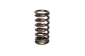 Picture of COMP Cams Valve Spring 0-970in Inner