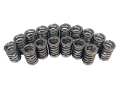 Picture of COMP Cams Valve Springs 1-250in Ovate Wi