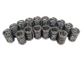 Picture of COMP Cams Valve Springs 1-250in Ovate Wi