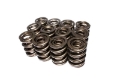 Picture of COMP Cams Valve Spring 1-625in H-11 Asse