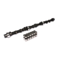 Picture of COMP Cams Cam & Lifter Kit F66 252H