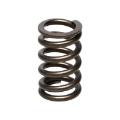 Picture of Manley Nissan RB26DET 24pc Valve Springs