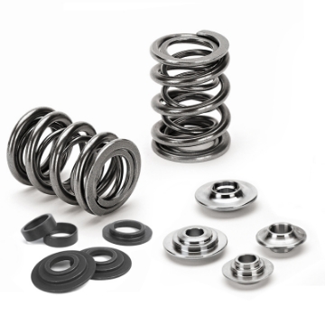 Picture of Supertech Toyota Tacoma 2TRFE Dual Valve Spring Kit
