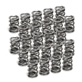 Picture of Supertech Toyota 2JZ-GE 15-2mm Inner Dia 20mm Outer Dia Dual Valve Spring - Set of 24