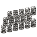 Picture of Supertech VW VR6 Dual Valve Spring - Set of 16