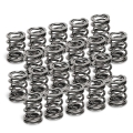 Picture of Supertech VW VR6 Dual Valve Spring - Set of 20