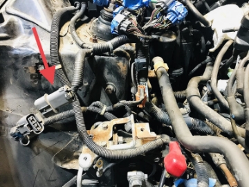 Picture of Rywire 92-95 Honda Prelude AEM Infinity Chassis Adapter Must Send Rywire 2-Pin Core Connector