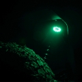 Picture of KC HiLiTES Cyclone V2 LED - Replacement Lens - Green - 6-PK