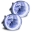 Picture of Oracle 06-09 Toyota 4-Runner SMD FL - White