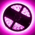 Picture of Oracle Exterior Black Flex LED Spool - Pink
