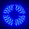 Picture of Oracle Side Emitting LED 12in Strip - Blue