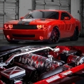 Picture of Oracle 0814 Dodge Challenger Dynamic Surface Mount Headlight-Fog Light Halo Kit COMBO