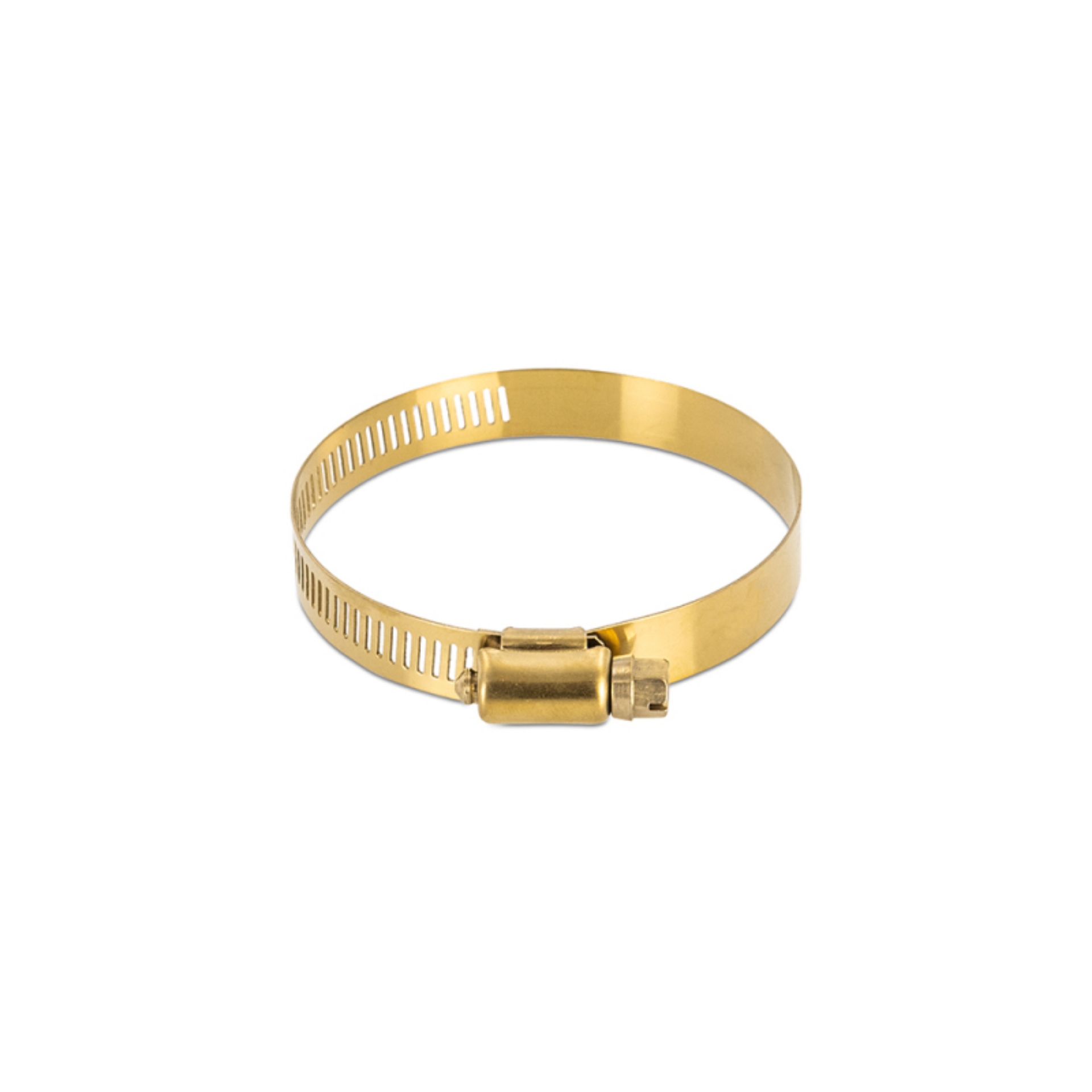 Picture of Mishimoto High-Torque Worm Gear Clamp 2-05in--2-99in- 52mm-76mm - Pack of 2 - Gold