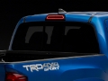 Picture of Raxiom 16-23 Toyota Tacoma Axial Series LED Third Brake Light- Smoked