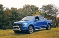 Picture of Deezee Universal Tubes - 6In Oval - Brite Tread Aluminum CrewCab