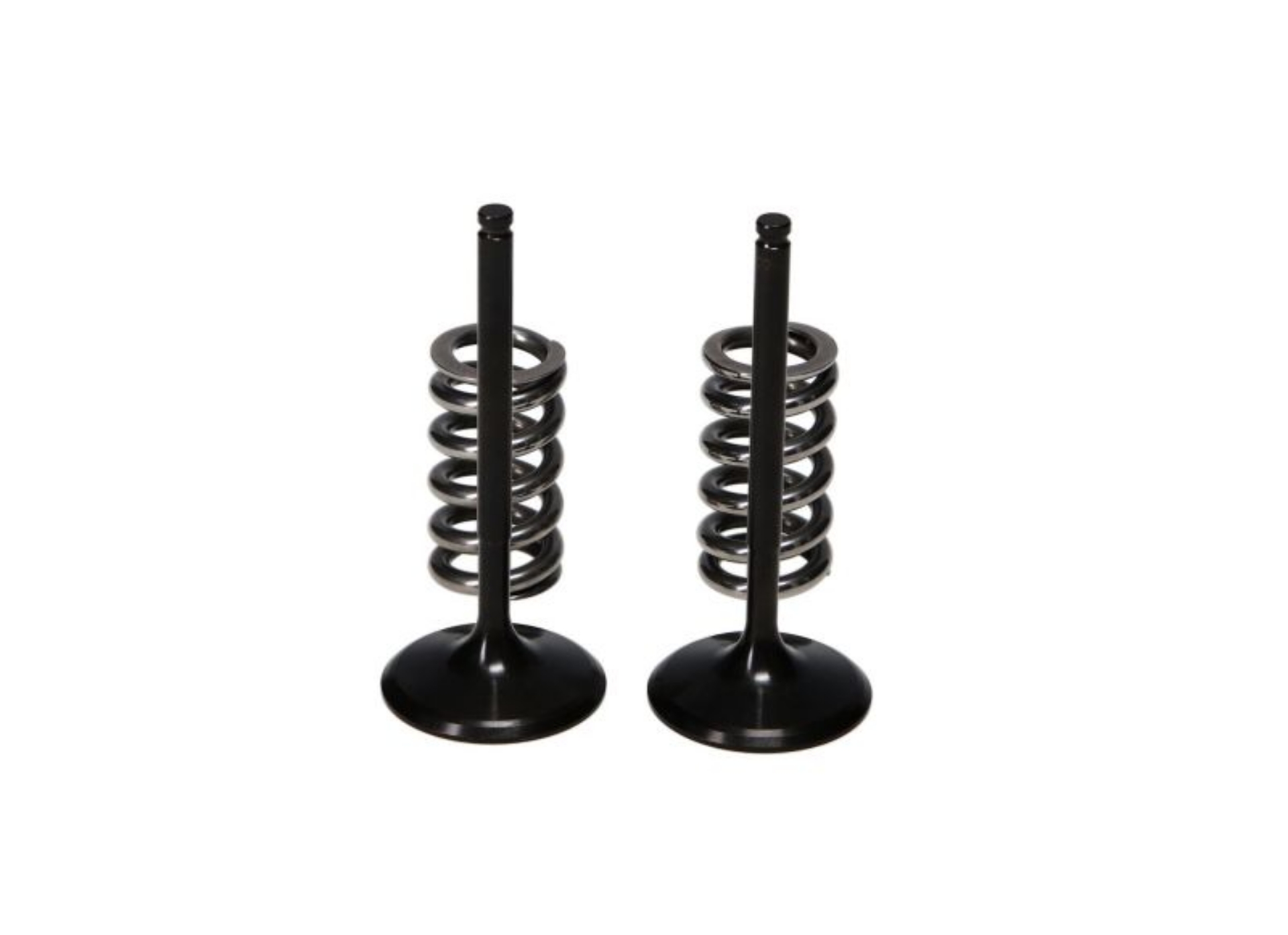Picture of ProX 10-13 YZ450F Steel Intake Valve-Spring Kit