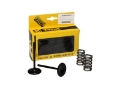 Picture of ProX 10-13 YZ450F Steel Intake Valve-Spring Kit