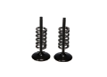 Picture of ProX 04-07 CRF250R-CRF250X Steel Intake Valve-Spring Kit