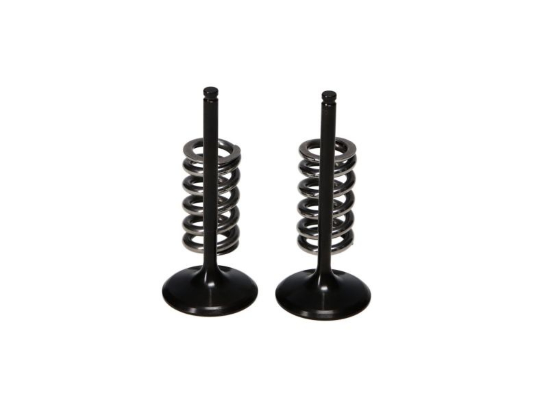 Picture of ProX 07-22 RM-Z250 Steel Exhaust Valve-Spring Kit