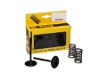 Picture of ProX 07-22 RM-Z250 Steel Exhaust Valve-Spring Kit