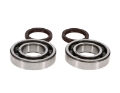 Picture of ProX 09-21 YFZ450R Crankshaft Bearing Kit