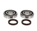Picture of ProX 06-17 CRF250R-CRF250X Crankshaft Bearing & Seal Kit