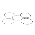 Picture of ProX 01-05 YFM660 Raptor-Grzzly-Rhino Ring Set 100-50mm