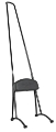 Picture of Burly Brand Stupid Tall Sissy Bar