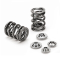 Picture of Supertech Nissan Pulsar Gti-R Dual Valve Spring Kit