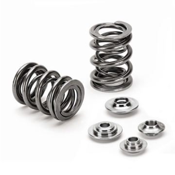 Picture of Supertech Nissan Pulsar Gti-R Dual Valve Spring Kit