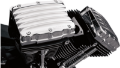 Picture of Roland Sands Design Cover Timing-Cam Clarity - Contrast Cut