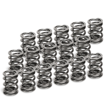 Picture of Supertech Honda H22A1-H22A4 Dual Valve Spring - Set of 16